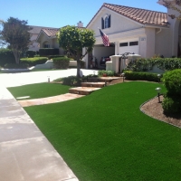 Artificial Grass Carpet Hickman, California Gardeners, Front Yard Ideas