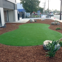 Artificial Grass Carpet Newman, California Backyard Deck Ideas, Commercial Landscape