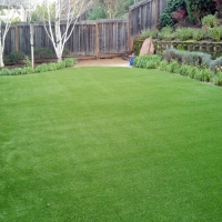 Artificial Grass Carpet Valley Home, California Landscaping Business, Backyard Landscaping