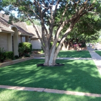 Artificial Grass Denair, California City Landscape, Front Yard Design