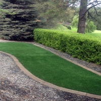 Artificial Grass Grayson, California Landscape Design