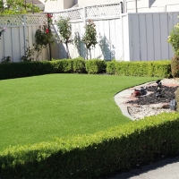 Artificial Grass Installation Hickman, California Design Ideas, Backyard