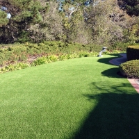 Artificial Grass Waterford, California Backyard Playground, Front Yard Design