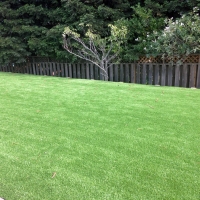 Artificial Lawn Patterson, California Design Ideas, Backyards