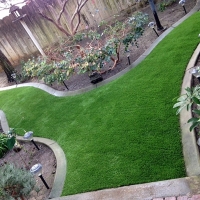 Artificial Lawn Shackelford, California Landscaping Business, Backyard Landscaping Ideas