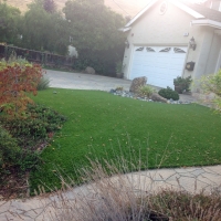 Artificial Lawn West Modesto, California Landscaping, Front Yard Landscaping Ideas