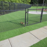 Artificial Turf Bret Harte, California Landscaping, Parks