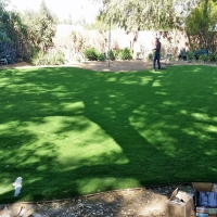 Artificial Turf Cost Ceres, California Landscape Photos, Backyard Garden Ideas