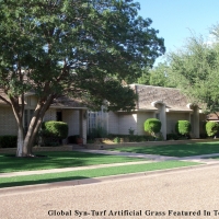 Artificial Turf Installation Hickman, California Roof Top, Front Yard Landscaping