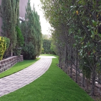 Best Artificial Grass Hickman, California Landscaping, Front Yard Design