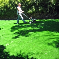 Best Artificial Grass Patterson, California Landscaping Business, Beautiful Backyards