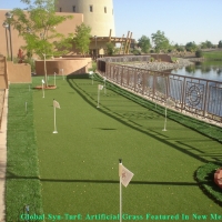 Fake Grass Bret Harte, California Garden Ideas, Backyards