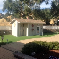 Fake Grass East Oakdale, California Landscape Ideas, Commercial Landscape