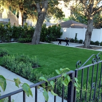 Fake Grass Hughson, California City Landscape, Front Yard Landscape Ideas