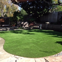 Fake Lawn Bystrom, California City Landscape, Backyards