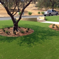 Fake Turf Crows Landing, California Gardeners, Front Yard Landscaping Ideas