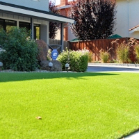 Faux Grass Bystrom, California Landscaping Business, Front Yard Landscaping Ideas