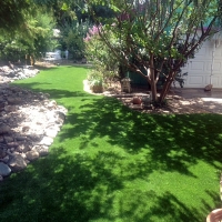 Faux Grass Hughson, California Design Ideas, Backyard Landscape Ideas