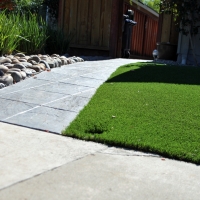 Grass Carpet Crows Landing, California Lawn And Garden, Front Yard Landscape Ideas