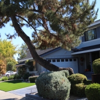 Grass Carpet Grayson, California Backyard Playground, Front Yard Landscaping Ideas