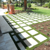 Grass Carpet Keyes, California Rooftop, Backyard Design