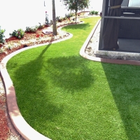 Grass Carpet Modesto, California Lawn And Garden, Backyard Landscape Ideas