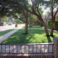 Grass Carpet Waterford, California Gardeners, Front Yard Ideas