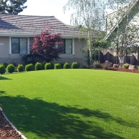 Grass Carpet Waterford, California Lawn And Garden, Front Yard Ideas