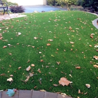 Grass Turf Bret Harte, California Landscape Ideas, Front Yard Design