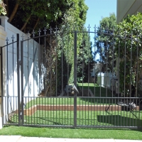 Grass Turf Bystrom, California Garden Ideas, Front Yard Landscaping Ideas