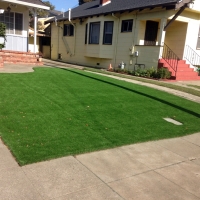 Grass Turf Oakdale, California Backyard Playground, Landscaping Ideas For Front Yard