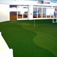 Grass Turf Patterson, California Diy Putting Green, Commercial Landscape