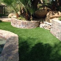 Grass Turf Riverbank, California Pet Paradise, Backyard Landscaping Ideas