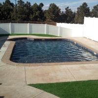 Grass Turf Turlock, California Landscape Design, Backyard Makeover