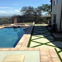 Grass Turf West Modesto, California City Landscape, Backyard Designs