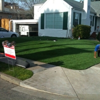 Green Lawn West Modesto, California Design Ideas, Front Yard