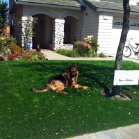 How To Install Artificial Grass Valley Home, California Landscape Photos, Front Yard Landscaping