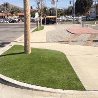 Outdoor Carpet Bystrom, California Paver Patio, Commercial Landscape