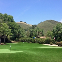 Outdoor Carpet Crows Landing, California Putting Green Turf, Front Yard Landscaping