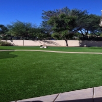 Outdoor Carpet Turlock, California Home And Garden, Front Yard Ideas