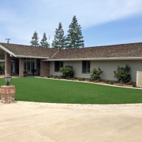 Plastic Grass Denair, California Rooftop, Front Yard Design