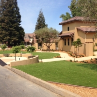 Plastic Grass Modesto, California Landscape Photos, Front Yard