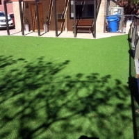 Plastic Grass Riverdale Park, California Garden Ideas, Backyard Design