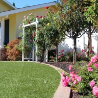 Synthetic Grass Cost Oakdale, California Roof Top, Front Yard Landscape Ideas