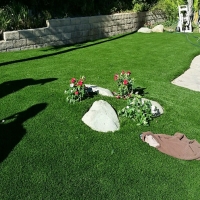 Synthetic Grass Crows Landing, California Landscape Ideas, Front Yard Landscape Ideas