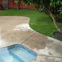 Synthetic Grass Riverbank, California Design Ideas, Backyard Landscaping