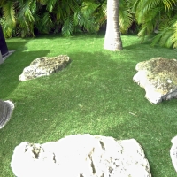 Synthetic Grass Turlock, California Landscape Photos, Backyard Landscaping