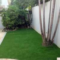 Synthetic Lawn Bystrom, California Backyard Playground, Backyard Landscaping Ideas