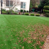 Synthetic Lawn Denair, California Lawns, Backyard Landscaping