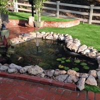 Synthetic Lawn Turlock, California Design Ideas, Swimming Pool Designs